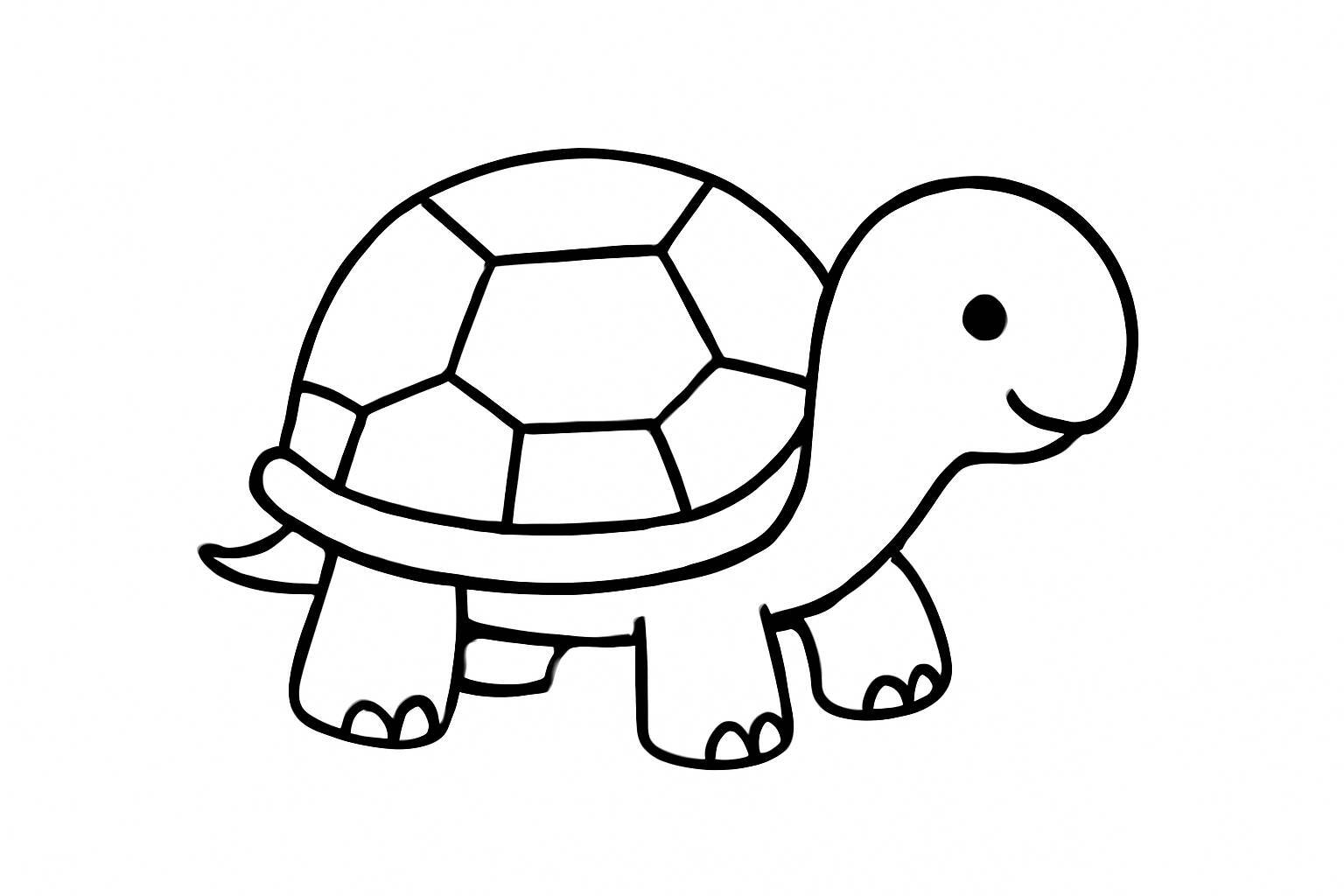 Educational Animal Illustration