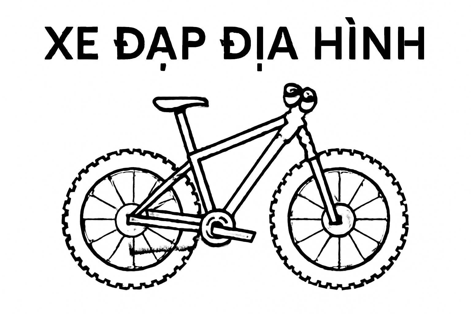 Mountain Bike