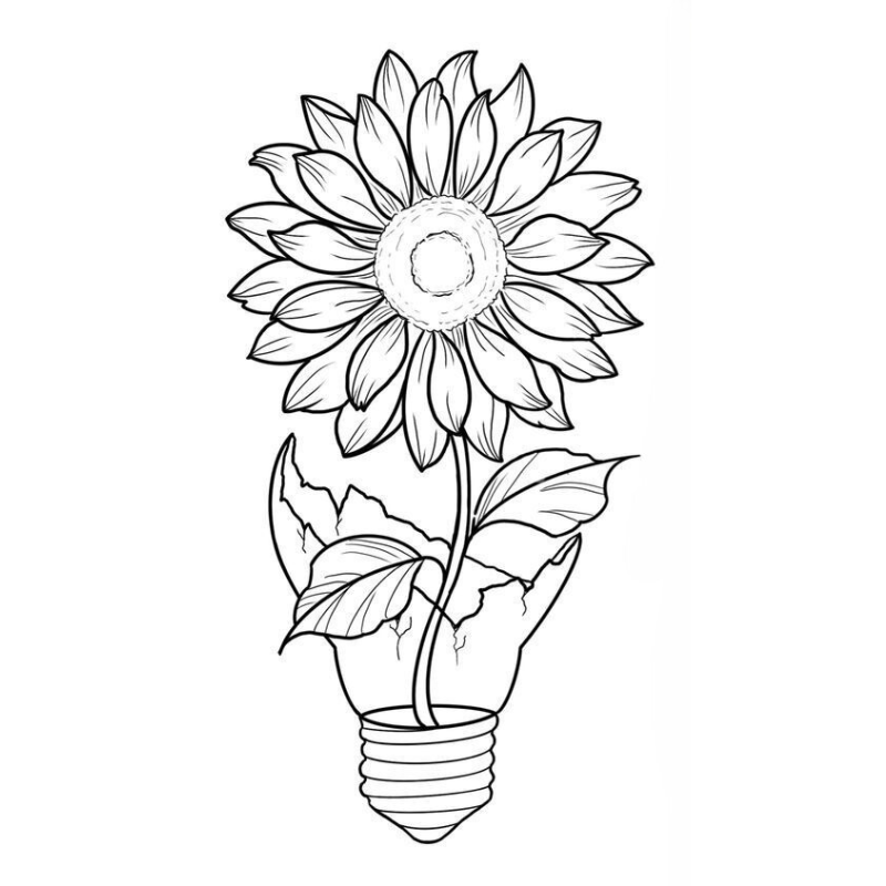 Coloring the Rose Flower 6