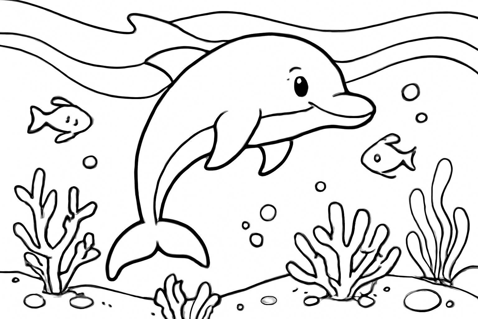 Ocean Dolphin