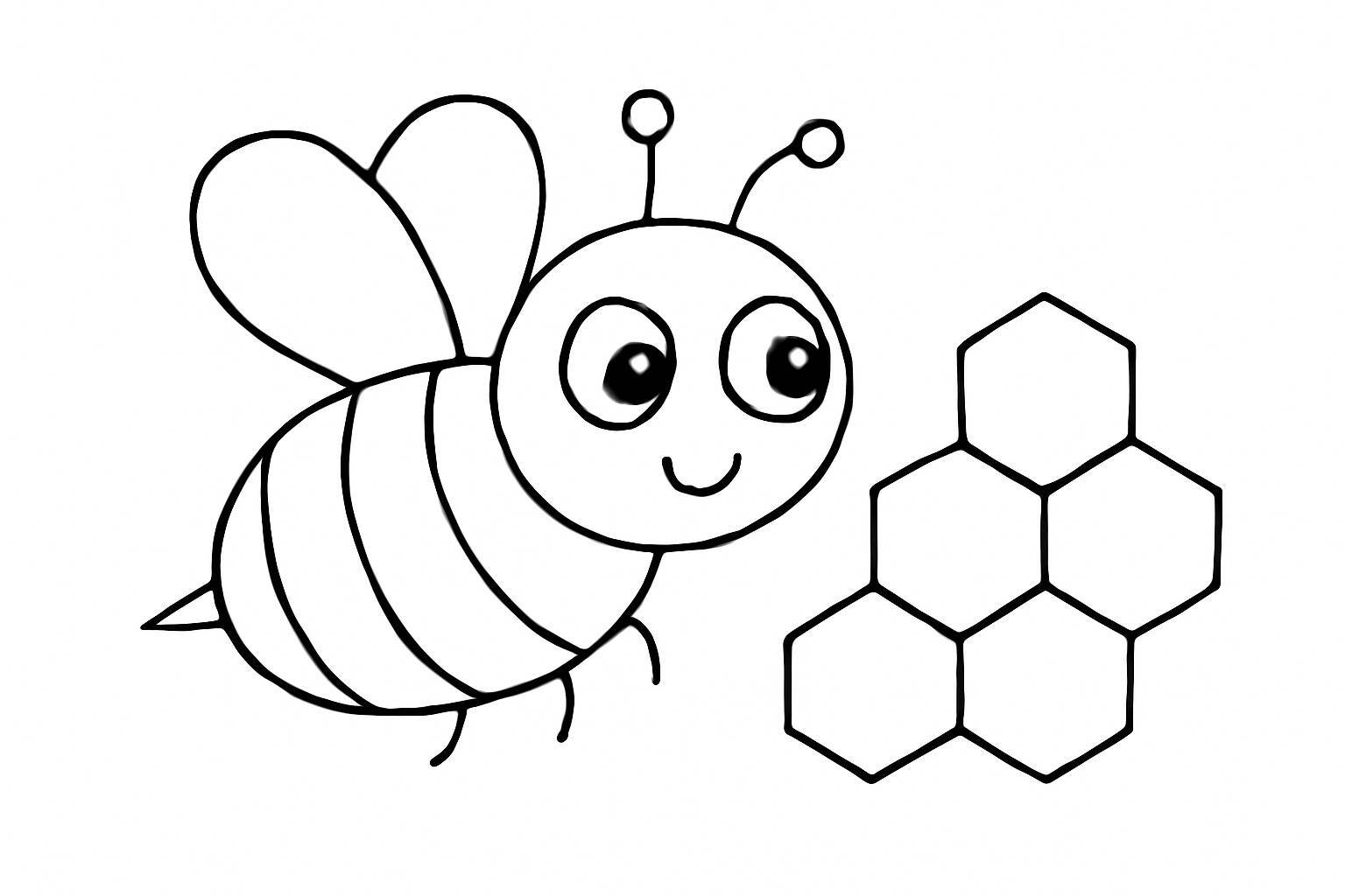 Bee and Honeycomb