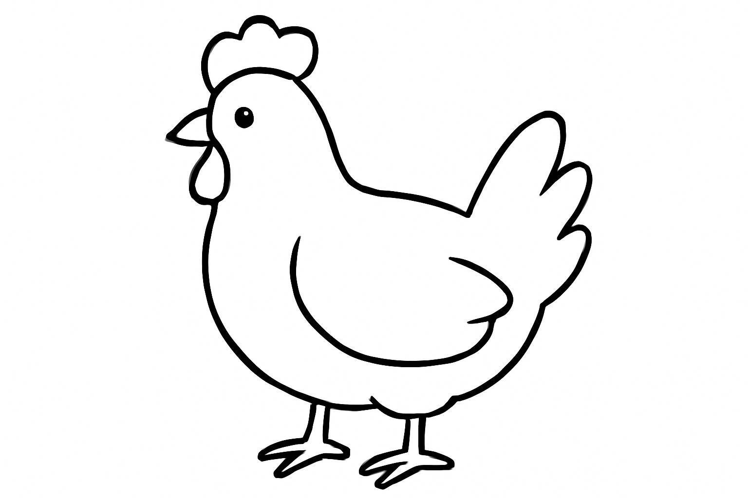 Minimal Chicken