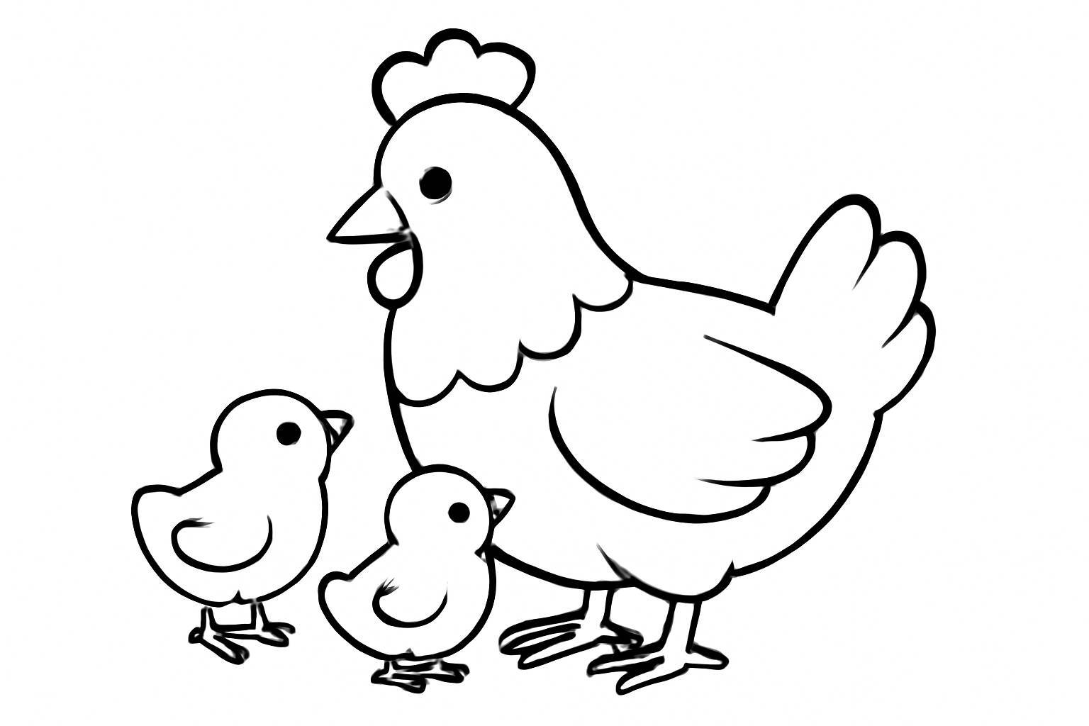 Hen and Chicks