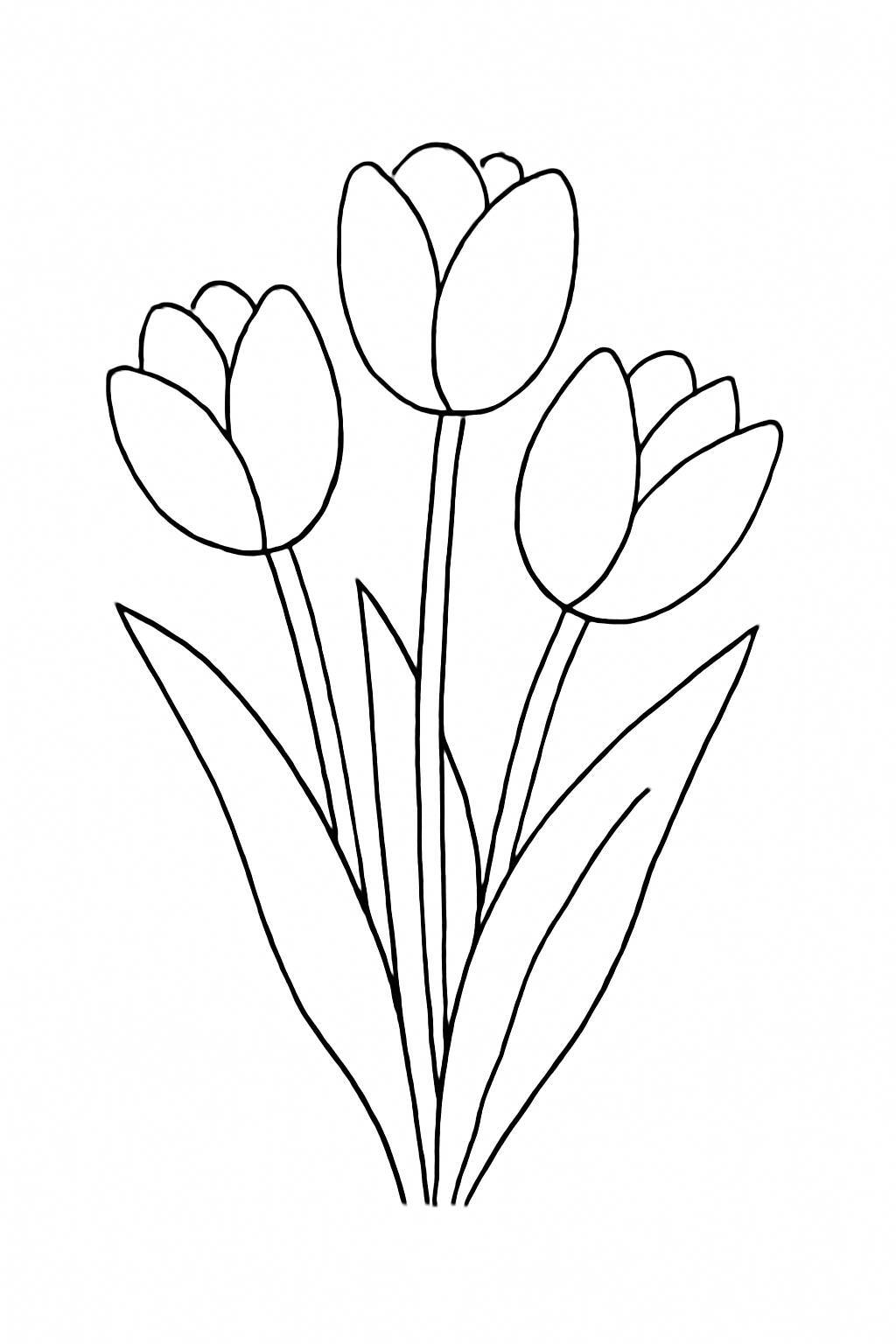 Pastel Tulips