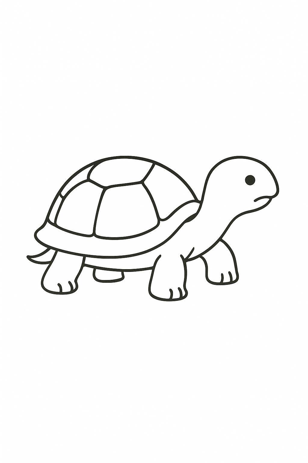Vintage Turtle