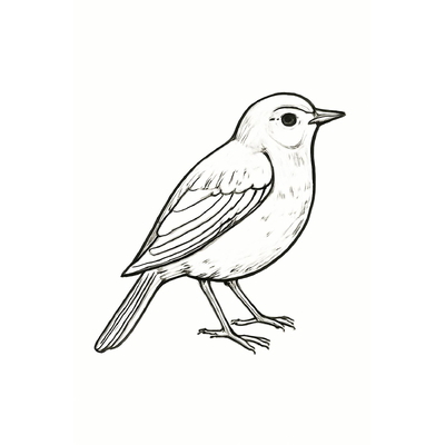 Bird Coloring Pages for Kids – Free Printable Bird Coloring PDF