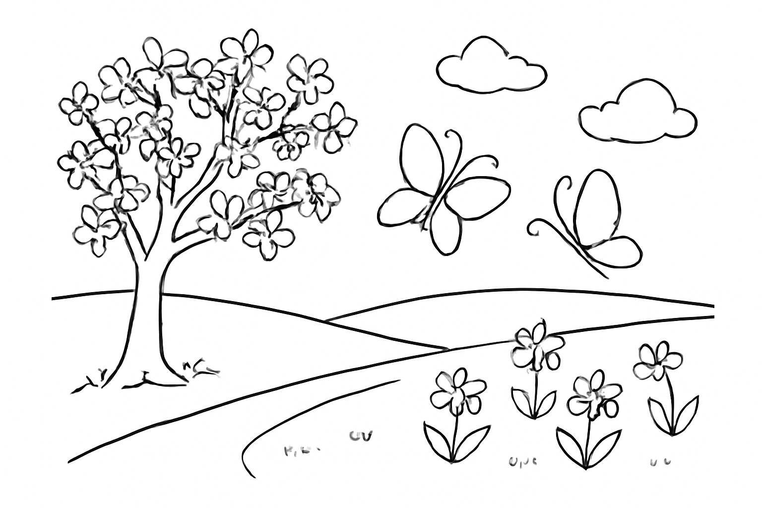 Spring Landscape