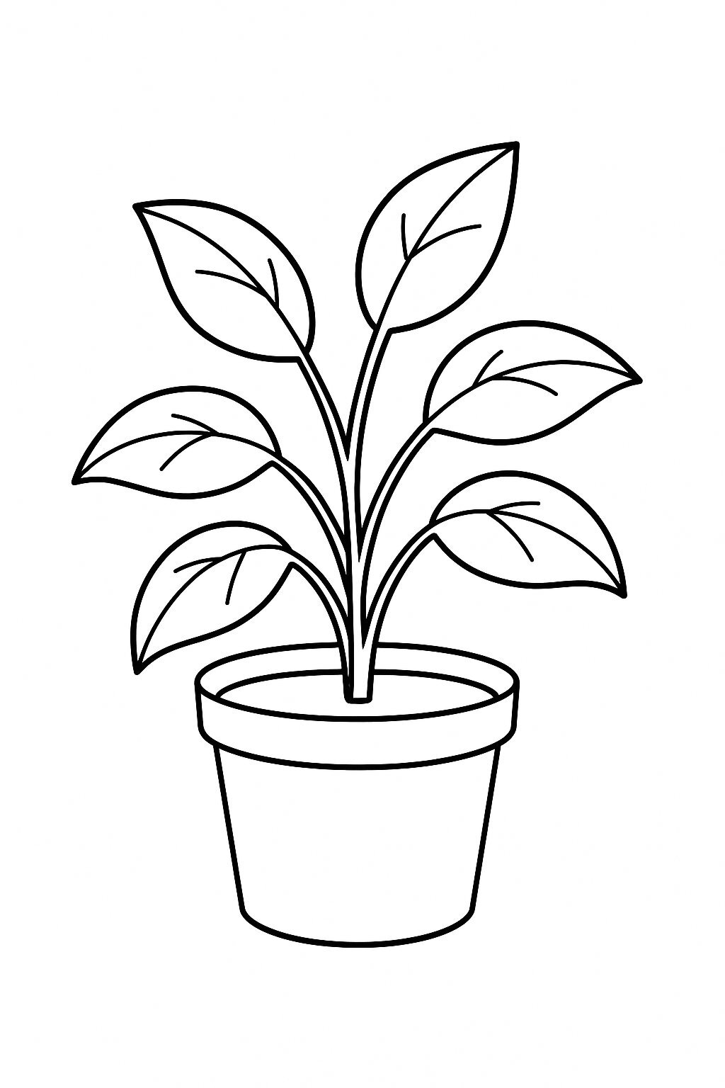 Potted Green Plant
