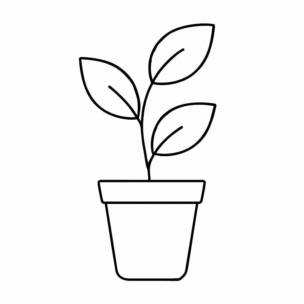 Minimalist Style