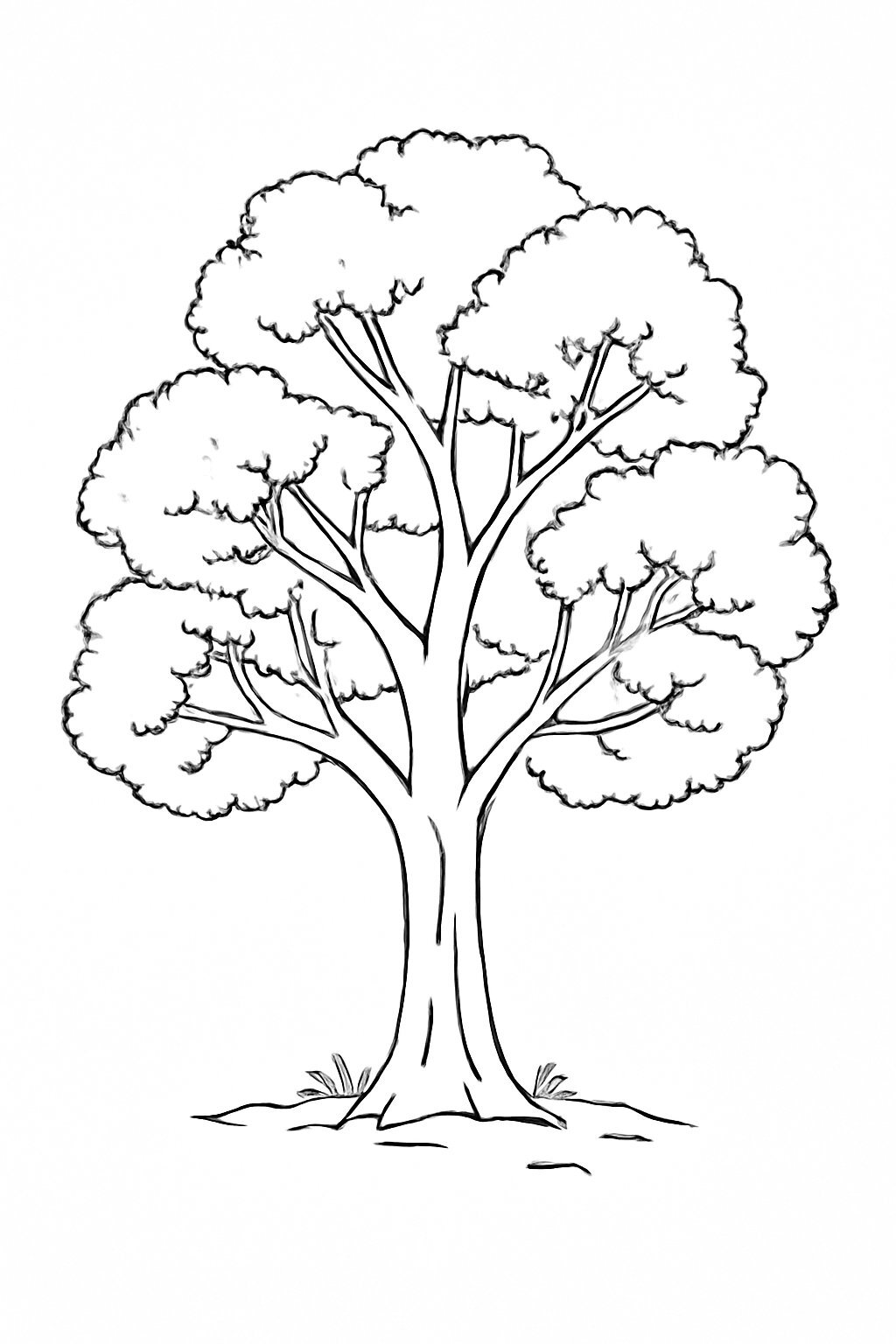 Natural Green Tree