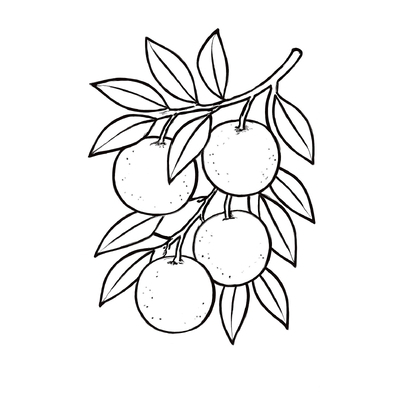 Orange Coloring Pages for Kids 2026 | Fun and Creative Printable Sheets