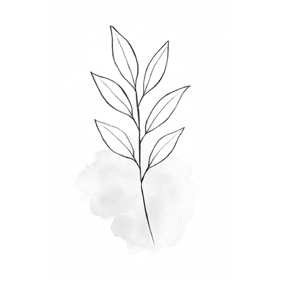 Peach Blossom Coloring Pages for Kids 2026 - Most Beautiful Images and PDF
