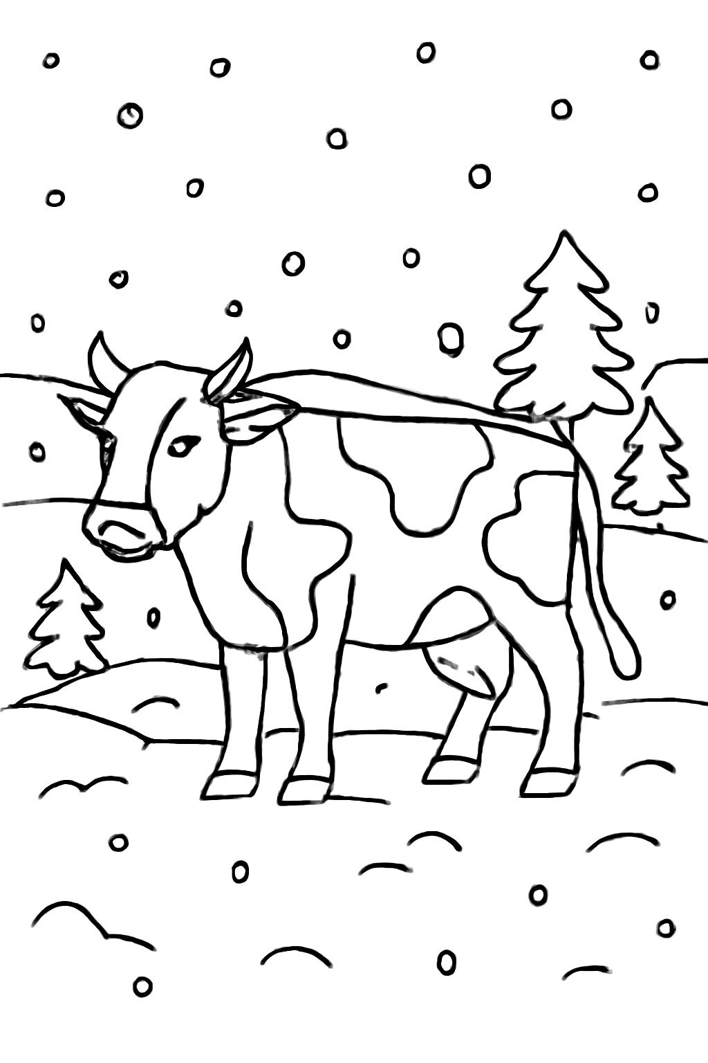Snowy Style