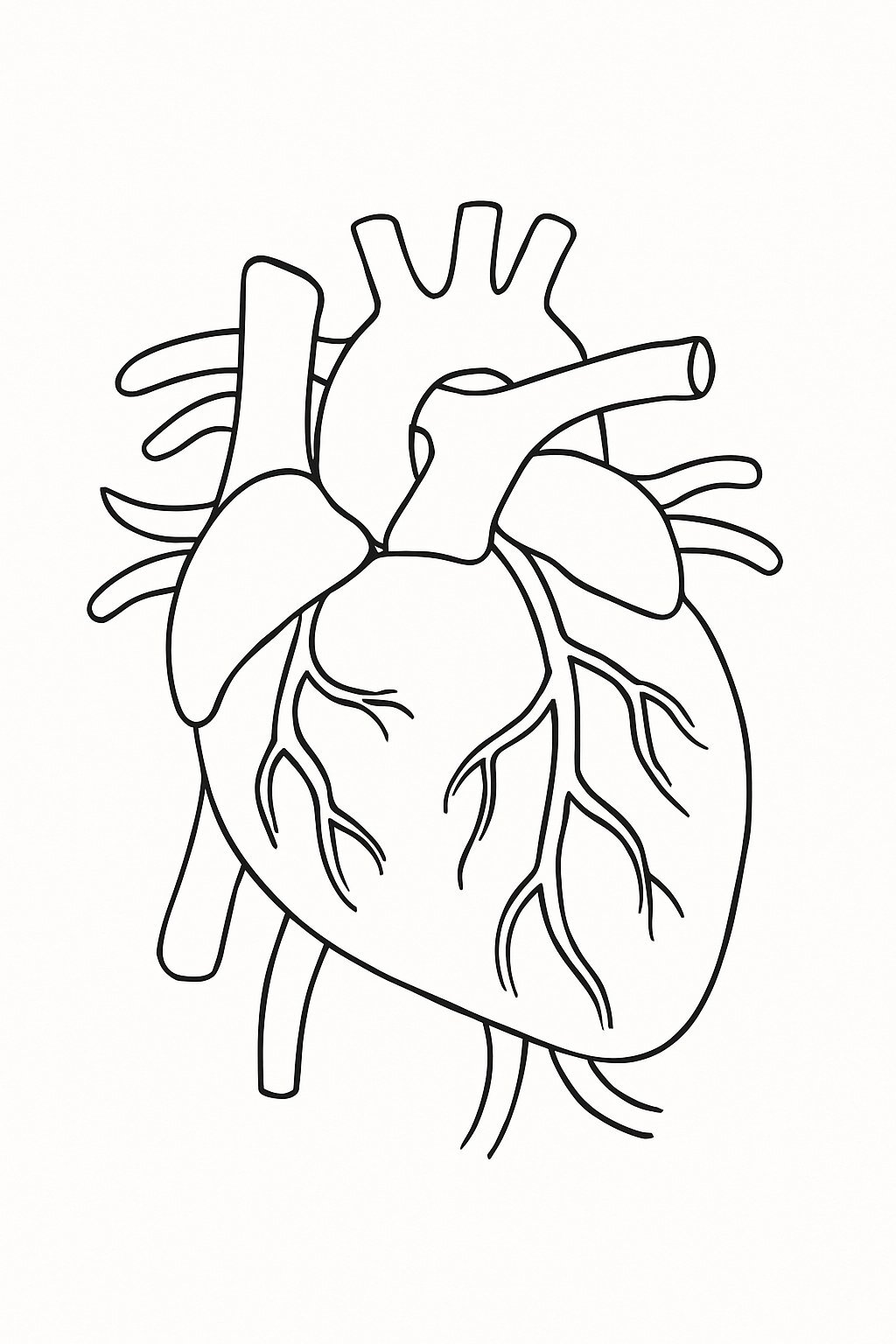 Circulatory System