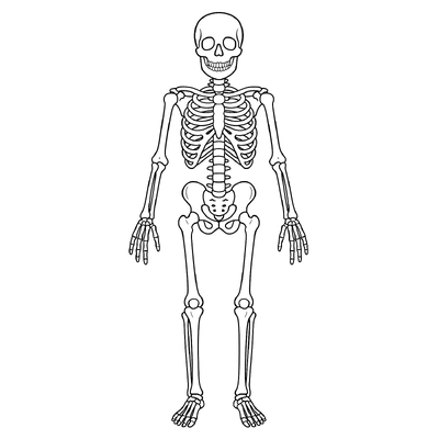 Human Body Parts Coloring Pages for Kids 2026