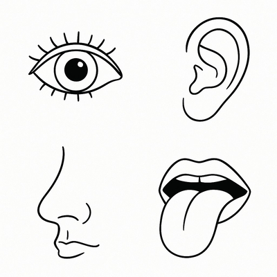 Human Body Parts Coloring Pages for Kids 2026