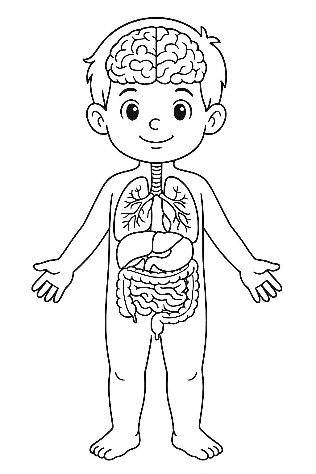 Child’s Body with Biological Details