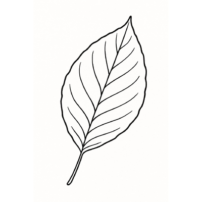 Leaf Coloring Pages for Kids 2026 – Cute and Adorable Designs
