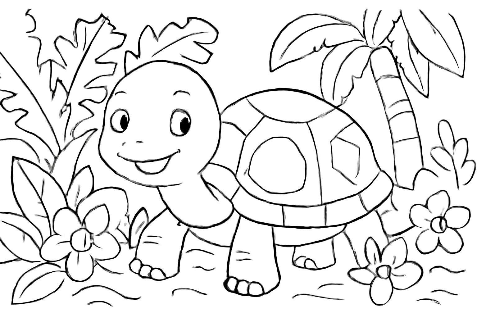 Tropical Forest Turtle
