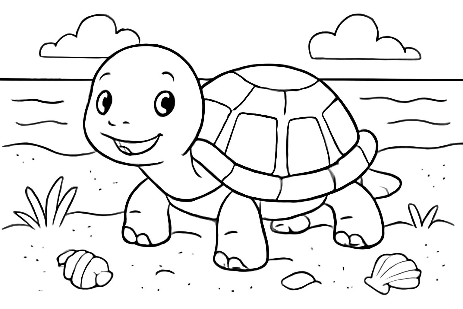 Beach Turtle