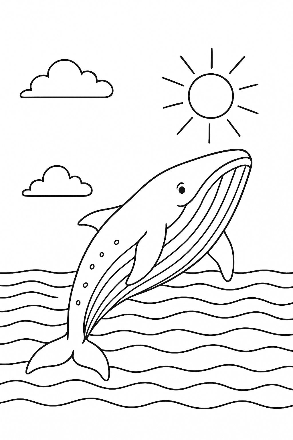 Summer Whales