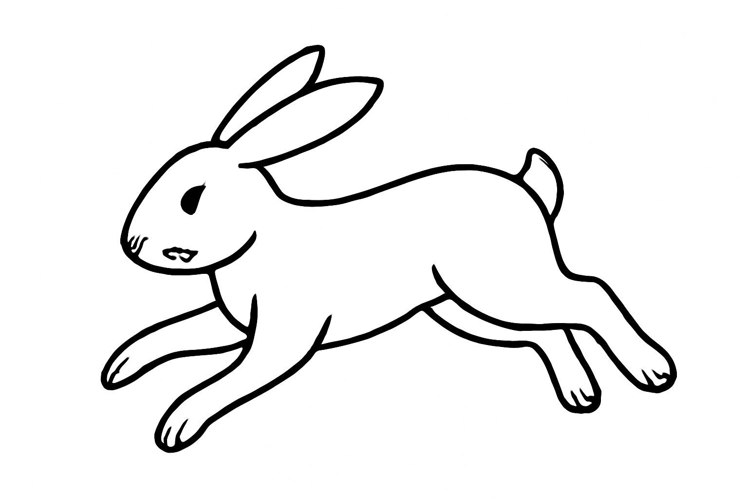 Action Rabbit