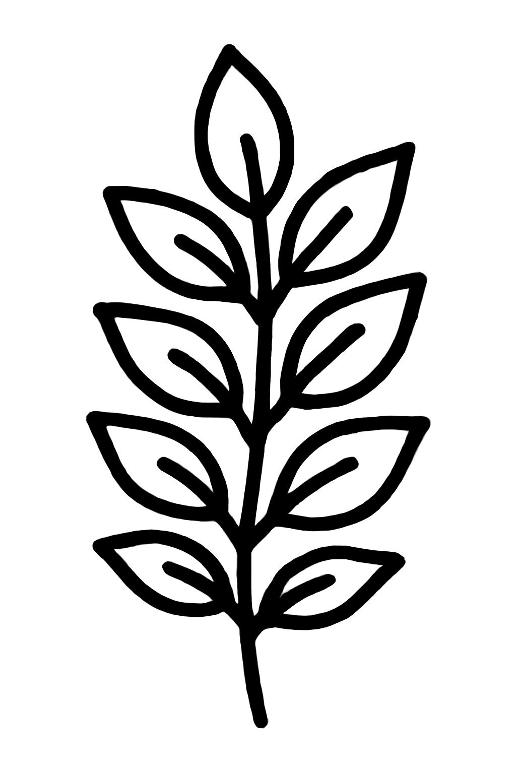 Outline Bold