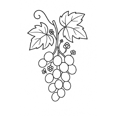 Grapes Coloring Pages for Kids 2026