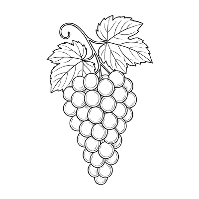 Grapes Coloring Pages for Kids 2026