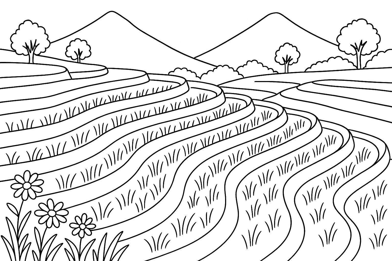 Spring Terraced Fields