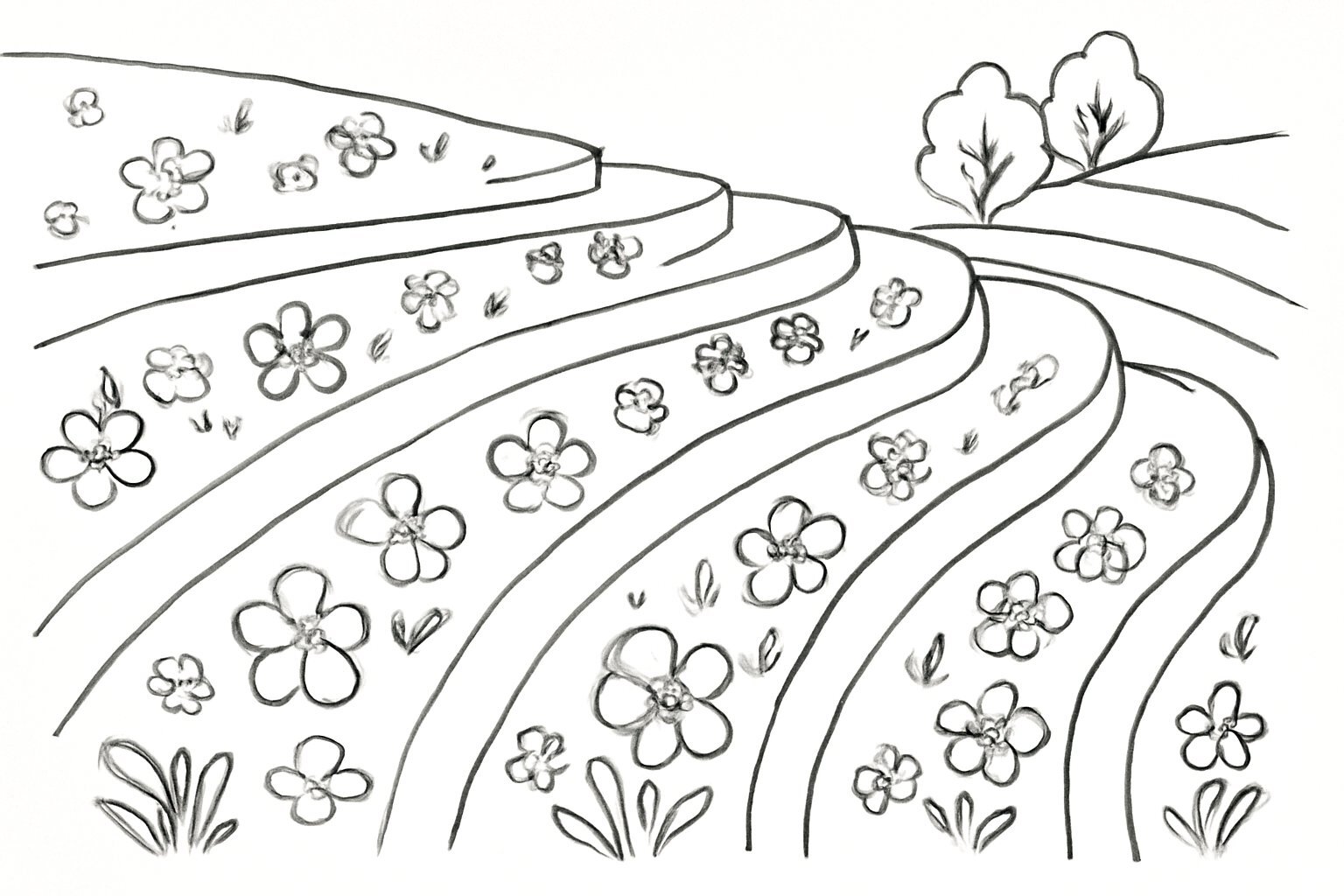 Blooming Terraced Fields