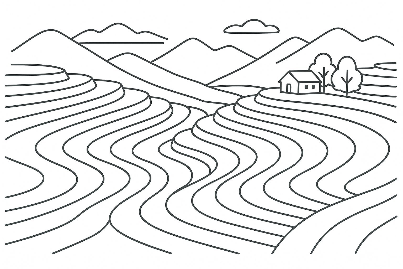 Terraced Fields from Above