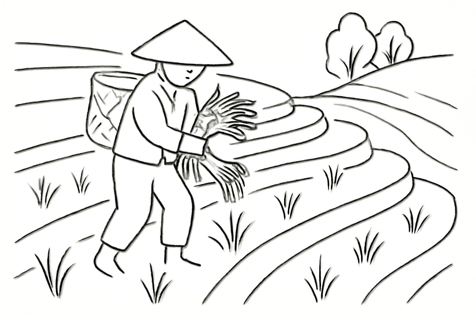 Terraced Fields with Farmers