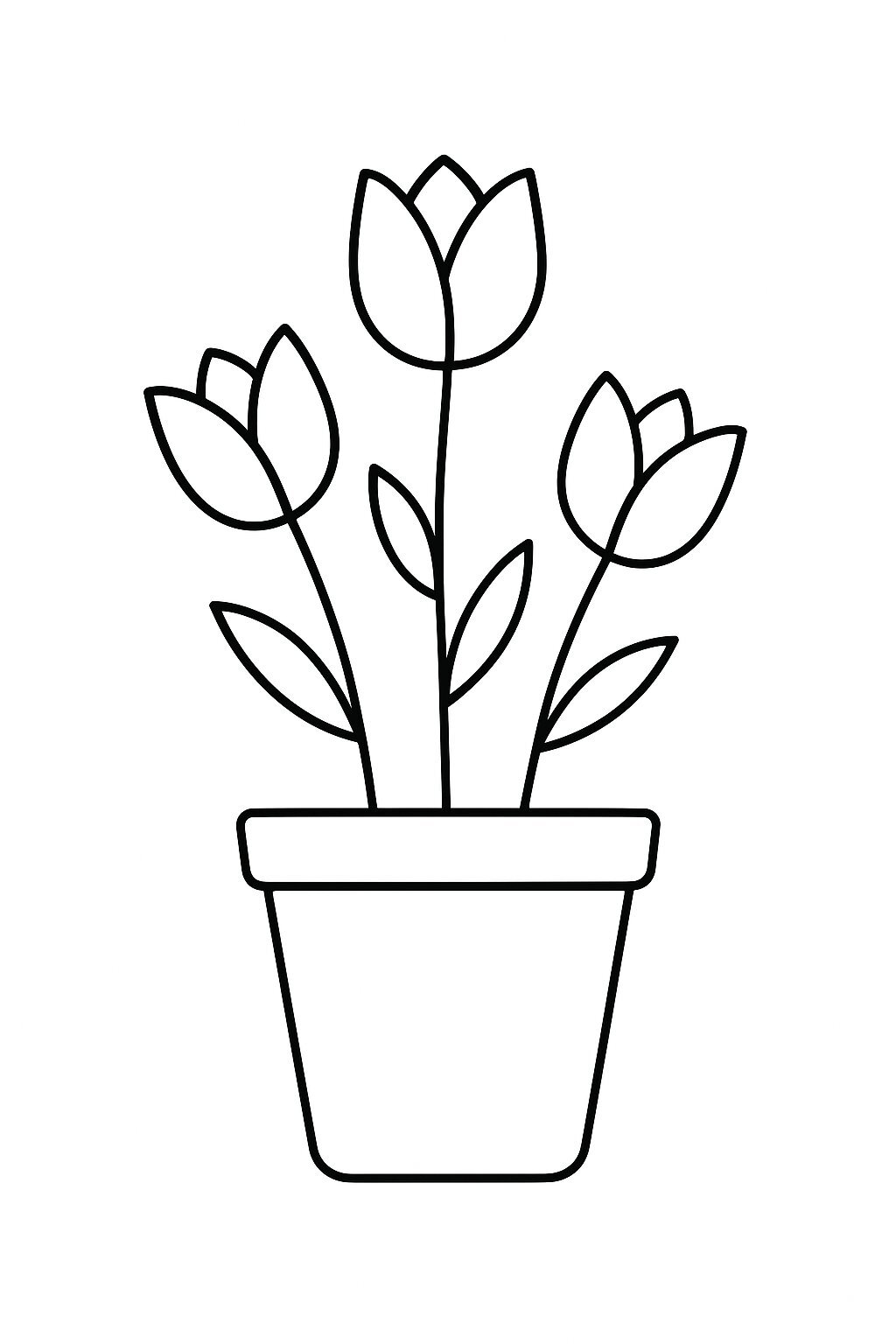 Minimalist Style