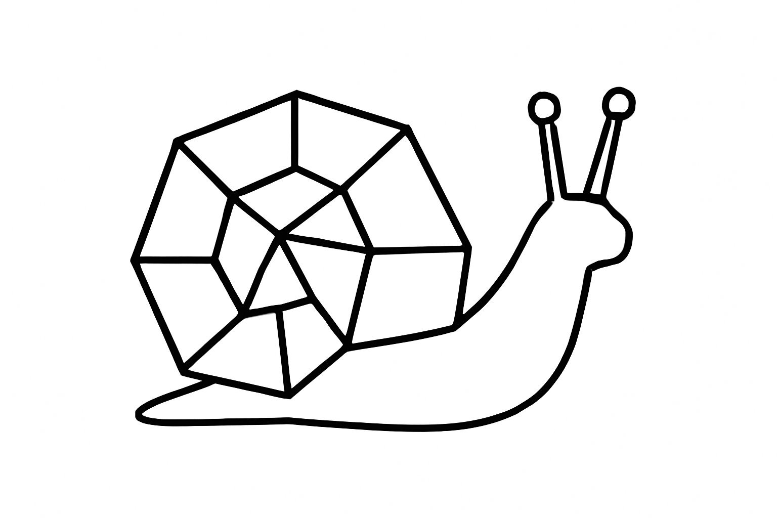 Geometric Snail