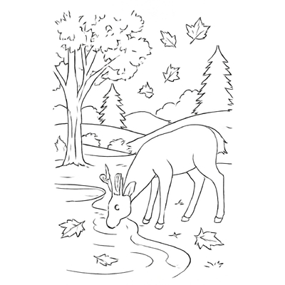 Autumn Coloring Pages for Kids 2026