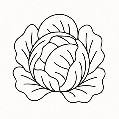 Cabbage Coloring Pages for Kids 2026 – Free Pictures &amp; PDF