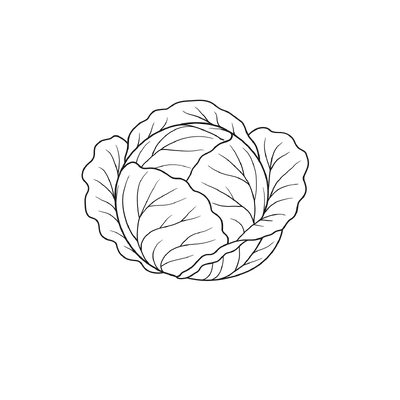 Cabbage Coloring Pages for Kids 2026 – Free Pictures &amp; PDF