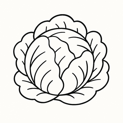 Cabbage Coloring Pages for Kids 2026 – Free Pictures &amp; PDF