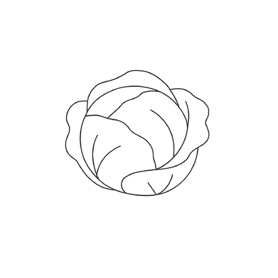 Cabbage Coloring Pages for Kids 2026 – Free Pictures &amp; PDF