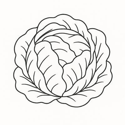 Cabbage Coloring Pages for Kids 2026 – Free Pictures &amp; PDF