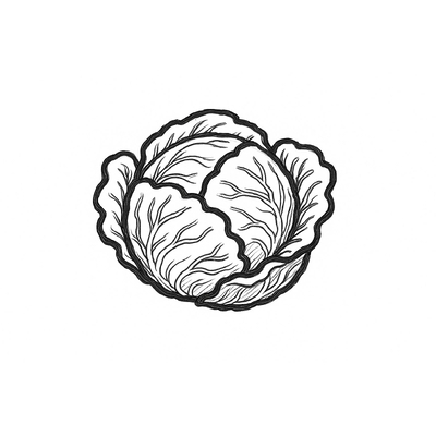 Cabbage Coloring Pages for Kids 2026 – Free Pictures &amp; PDF