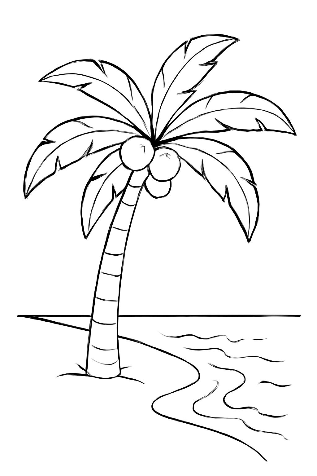 Beach Coconut Tree