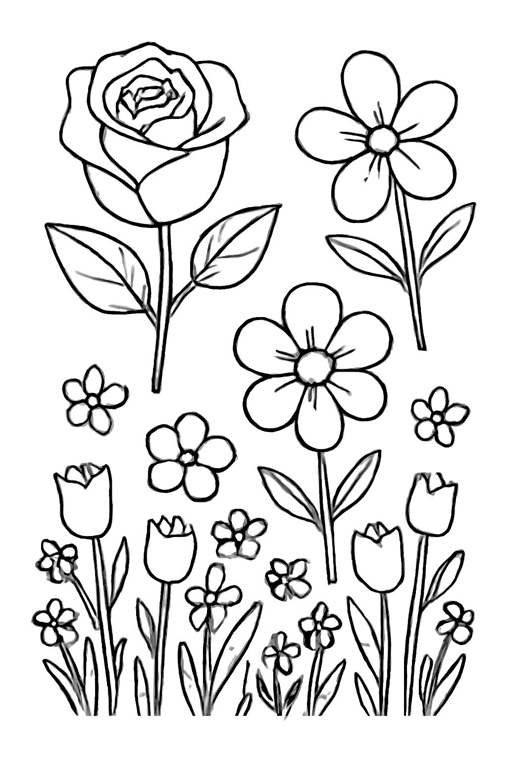 Pink and Flowers