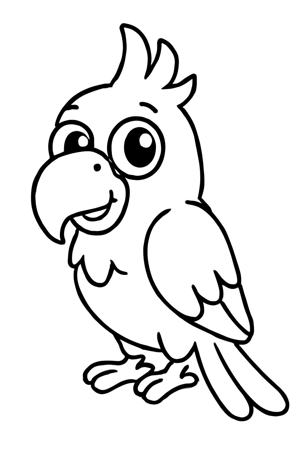 The Cartoon Duck