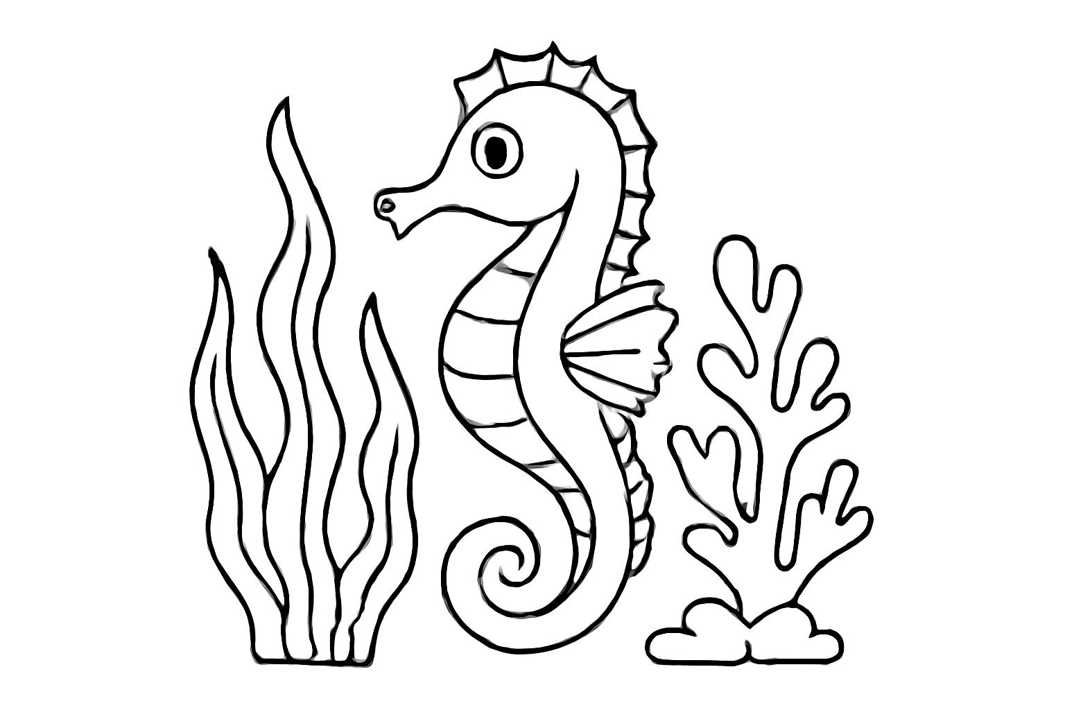 Ocean Seahorse