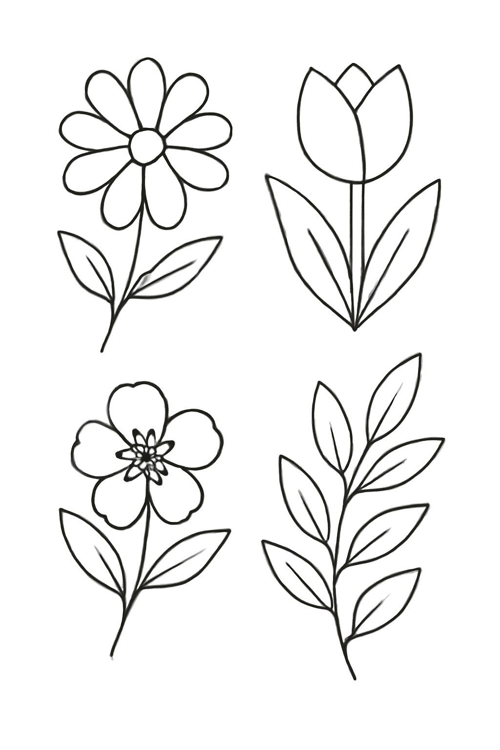 Floral and Leaf Shapes