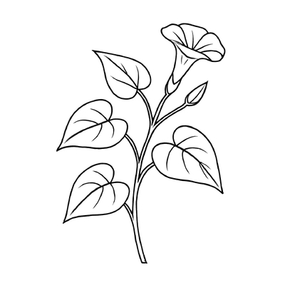 Water Spinach Coloring Pages for Kids 2026