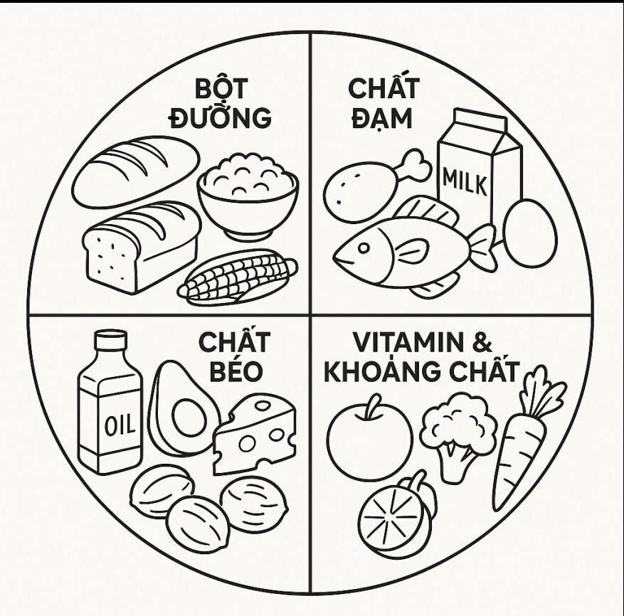 4 Food Groups Coloring Pages 2026 to Help Kids Understand Nutrition