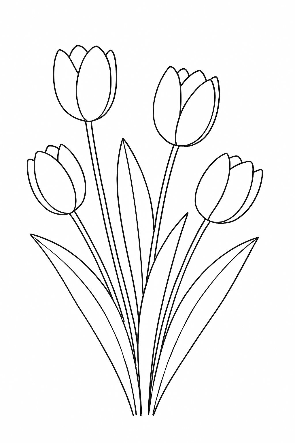 Tulip Flower